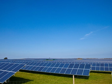 A field of solar panels sitting on green grass with a bright sunny sky behind.